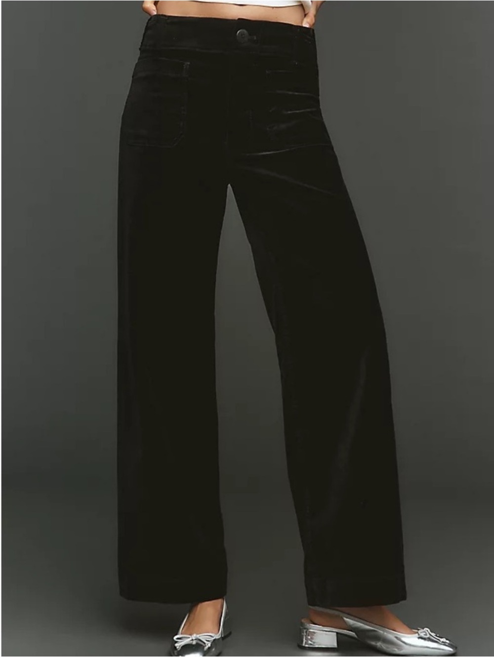 Anthropologie Maeve Colette Velvet Wide Leg Full Length Pants in Black Size 27